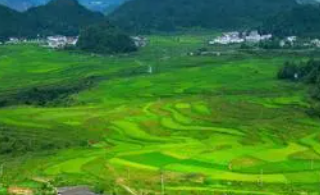 聚焦高标准农田建设 持续擦亮